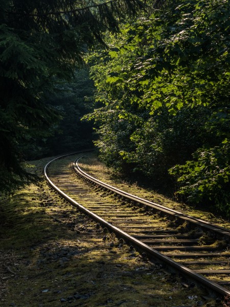 Eisenbahnlinie-Saalestauseen-8132392