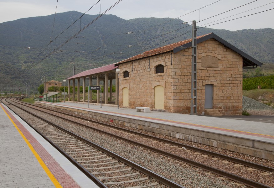 Estación de FF.CC., Paracuellos, España 2012-05-19, DD 04