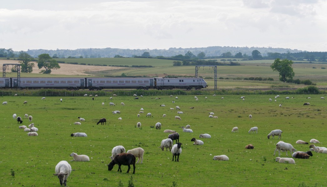 Newham MMB 10 East Coast Main Line