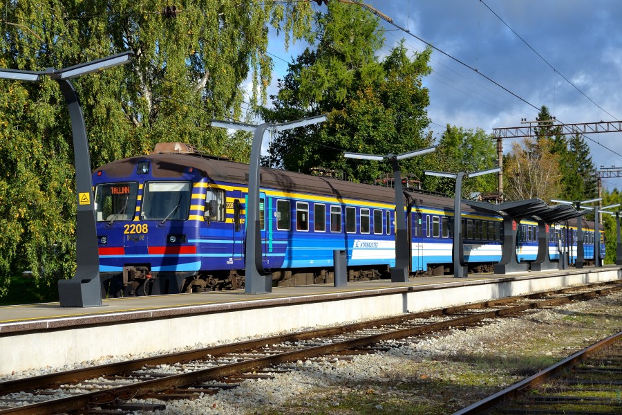 Riisipere raudteejaam 2011