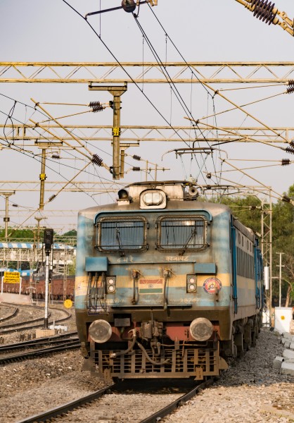 WAG7 030418