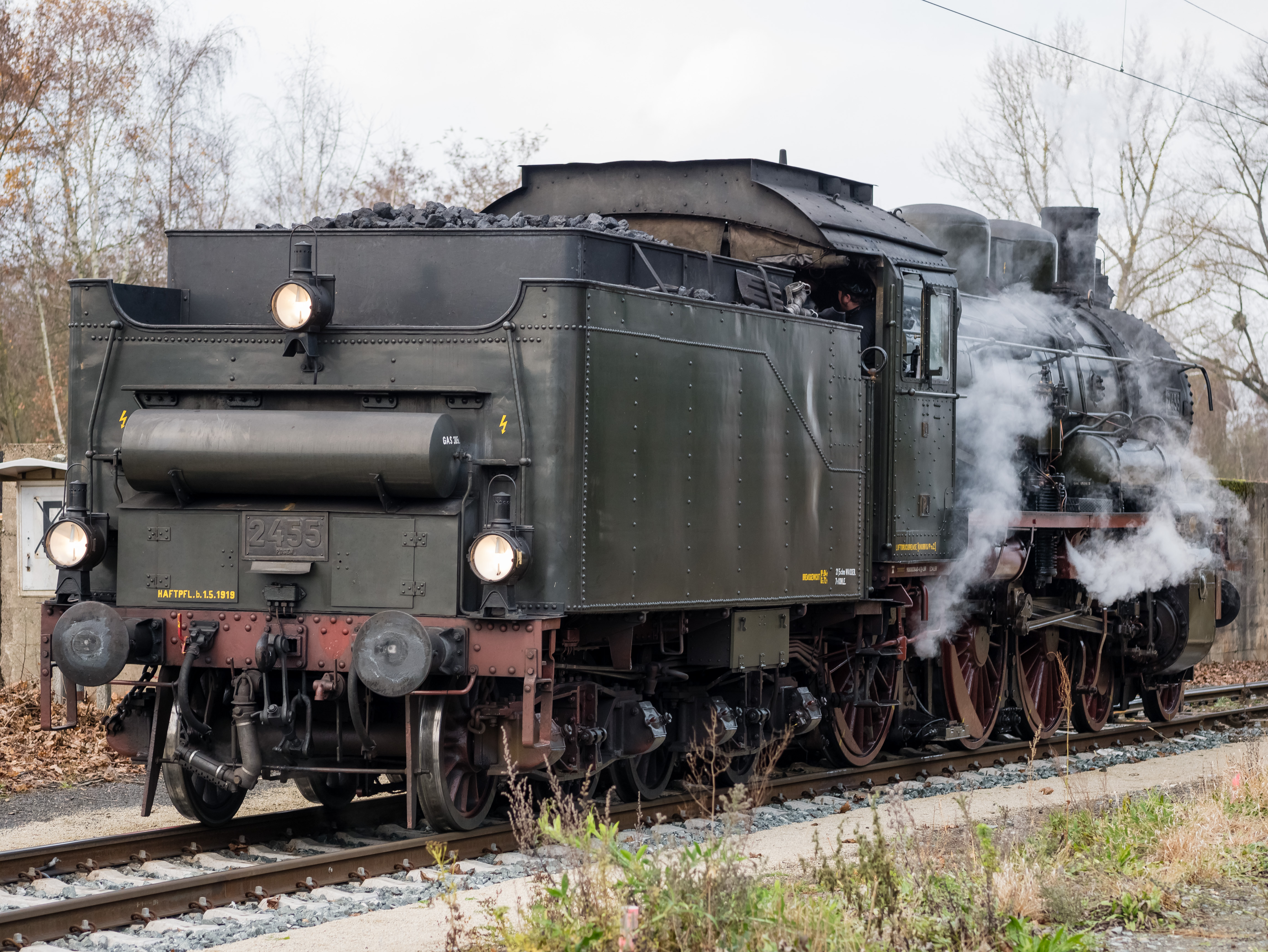 Prussian-P8-P1320222