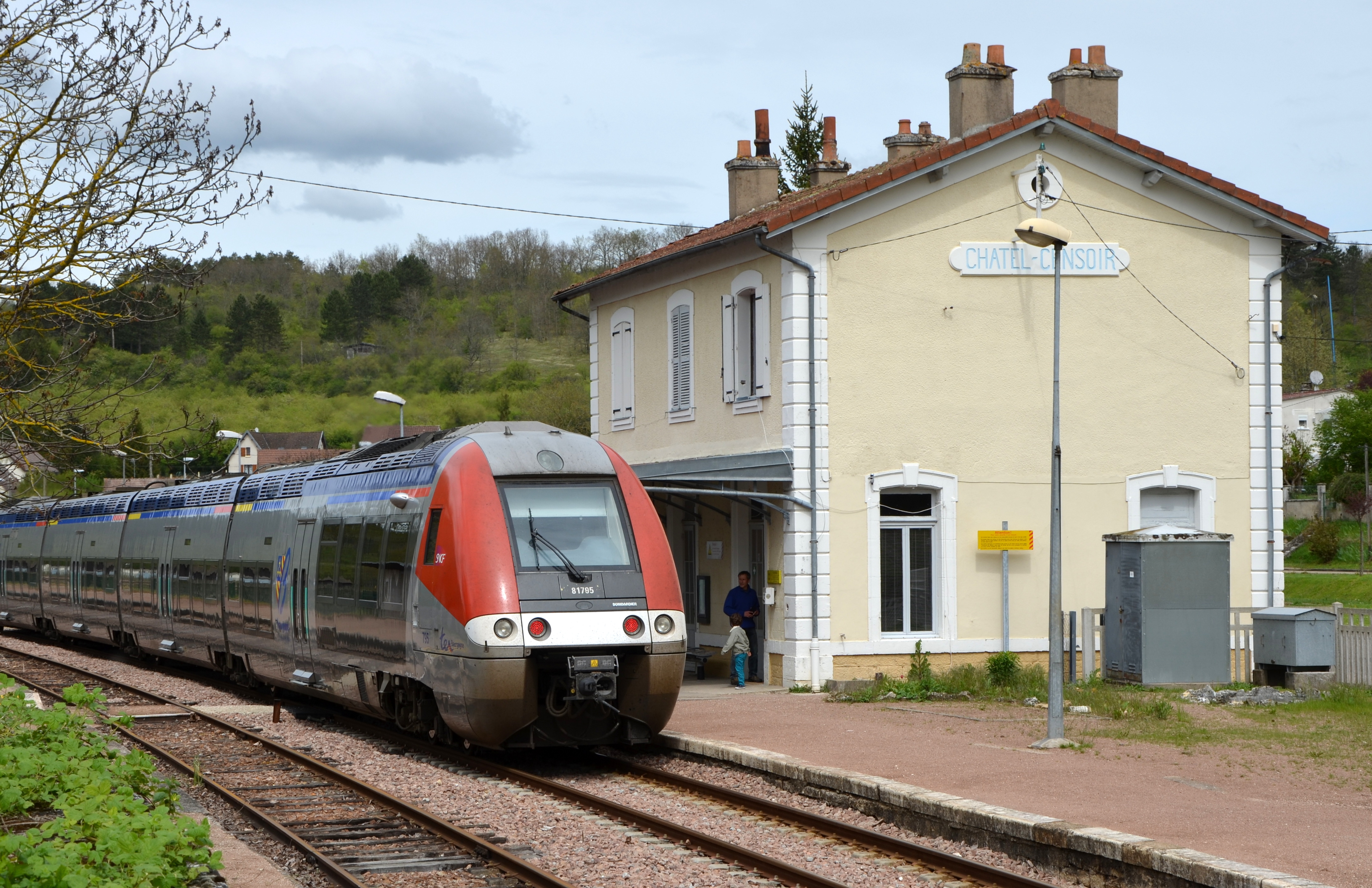 TER a la Gare de Chatel-Censoir DSC 0322