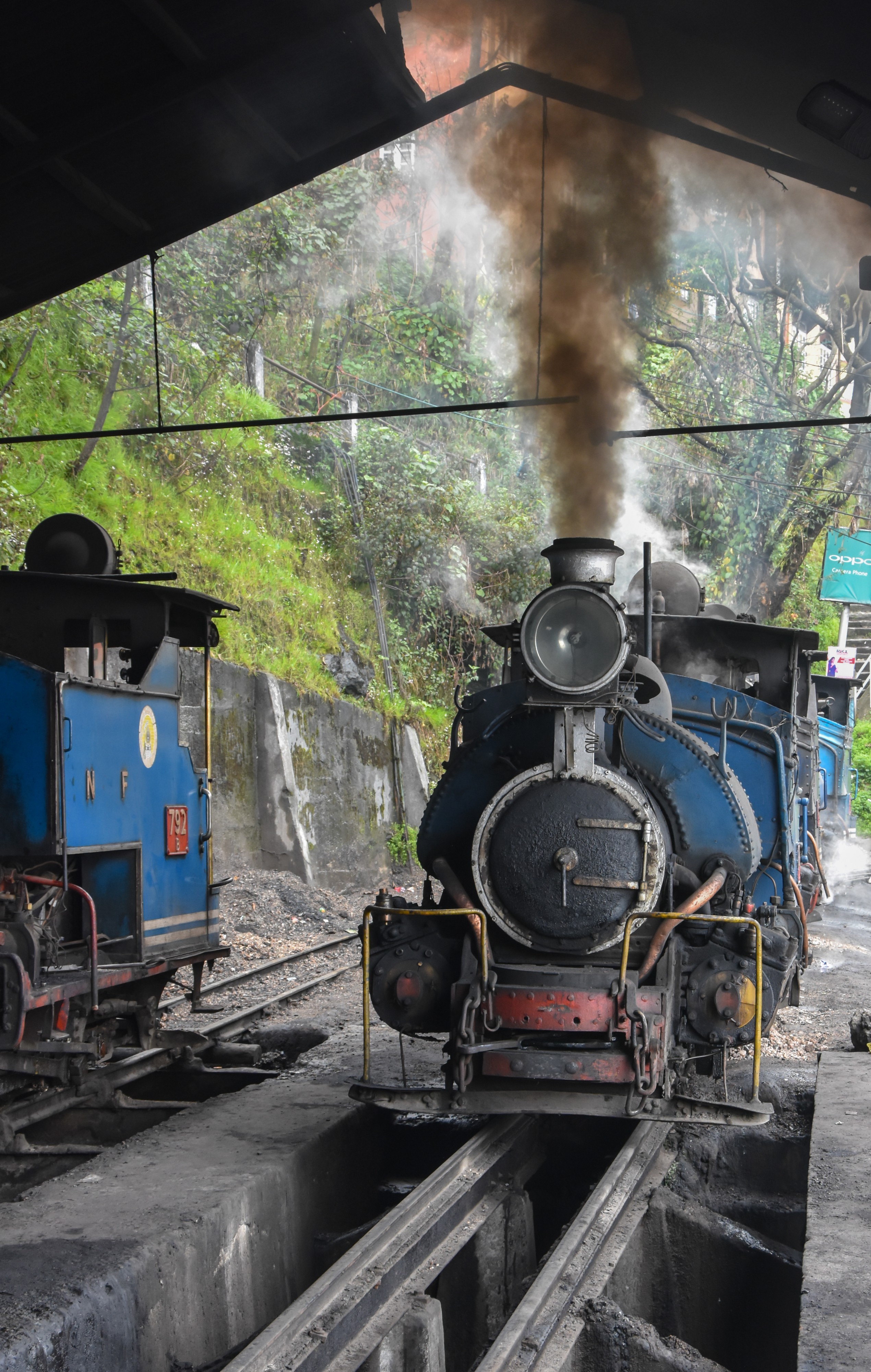 Darjeeling Himalayan Railway,toy train (7)