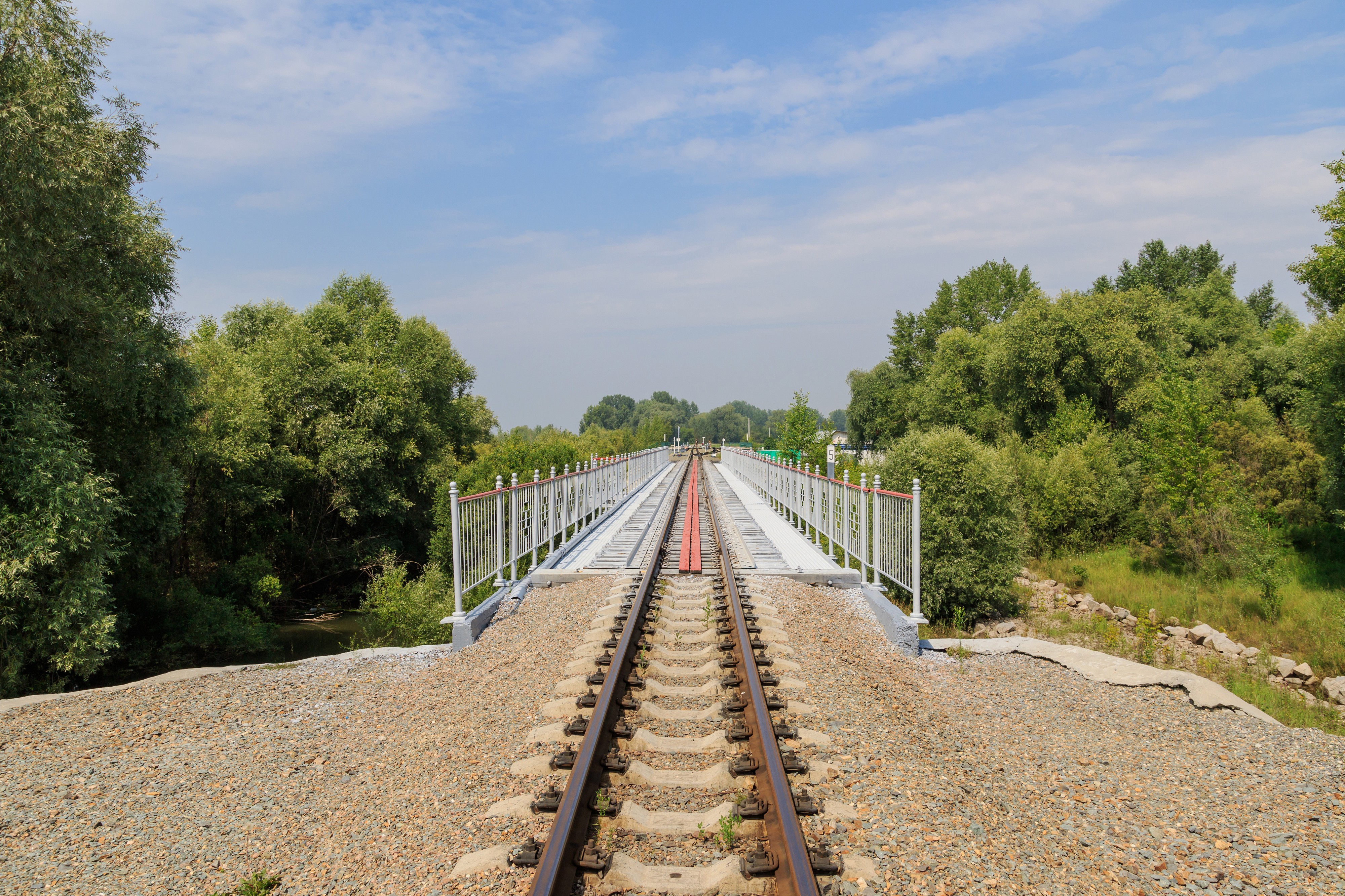 Novosibirsk Park Railway 07-2016 img3